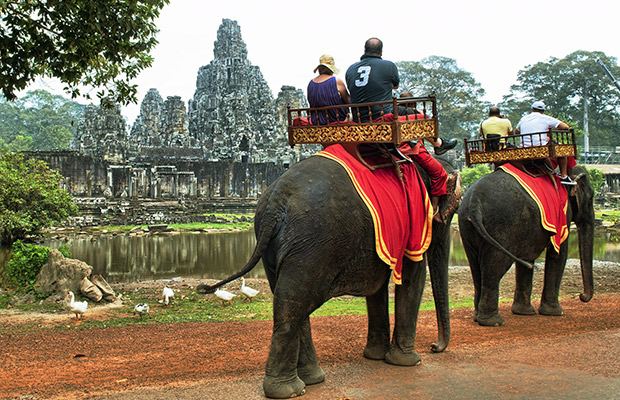 Angkor Elephant Rides
